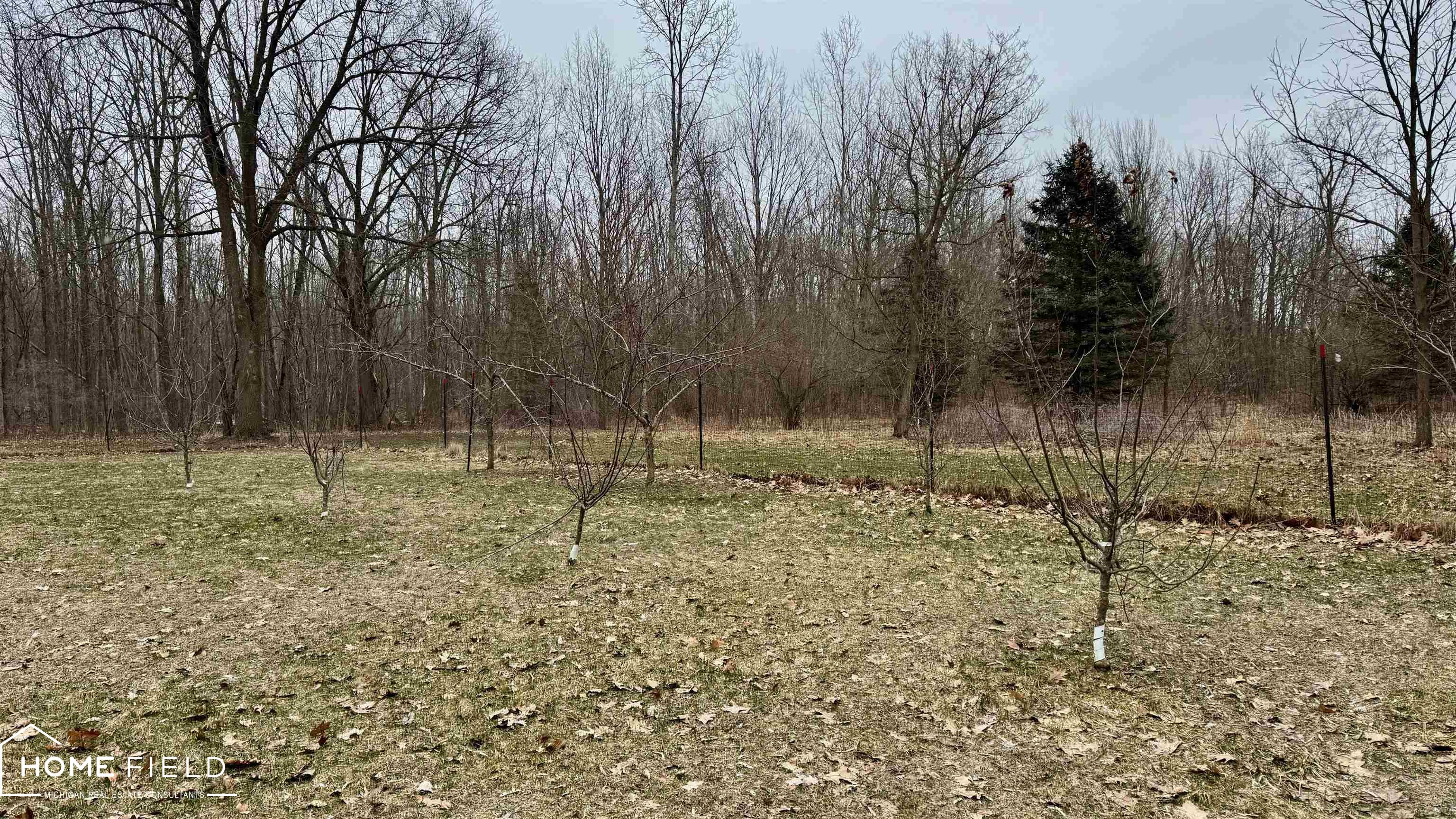 3300 Lansing Road Bancroft, MI 48414 - Photo 24 of 29