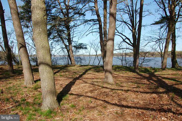Piney Shore Road Crumpton, MD 21628 - Photo 1 of 11 Wooded area with Chester River views