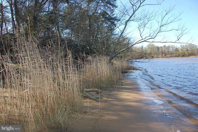 Piney Shore Road Crumpton, MD 21628 - Photo 3 of 11 Beach area