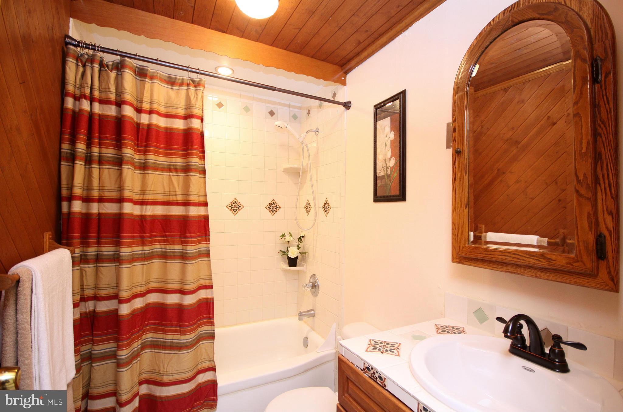 8122 Mid Haven Road Baltimore, MD 21222 - Photo 2 of 28 Bath