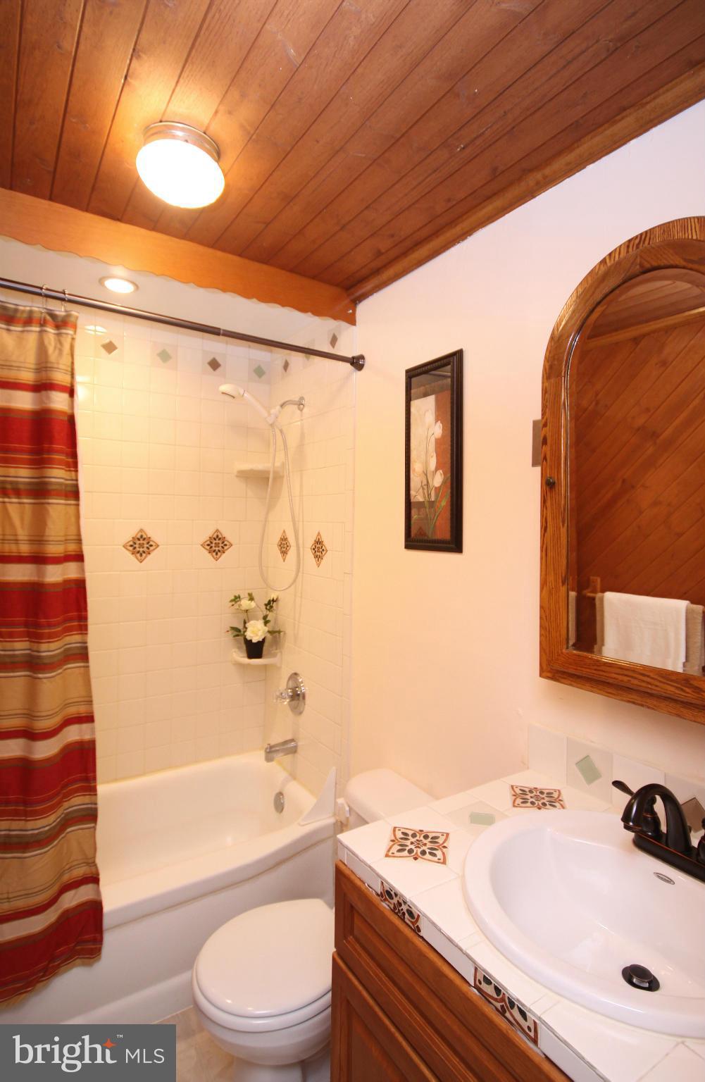 8122 Mid Haven Road Baltimore, MD 21222 - Photo 6 of 28 Bath