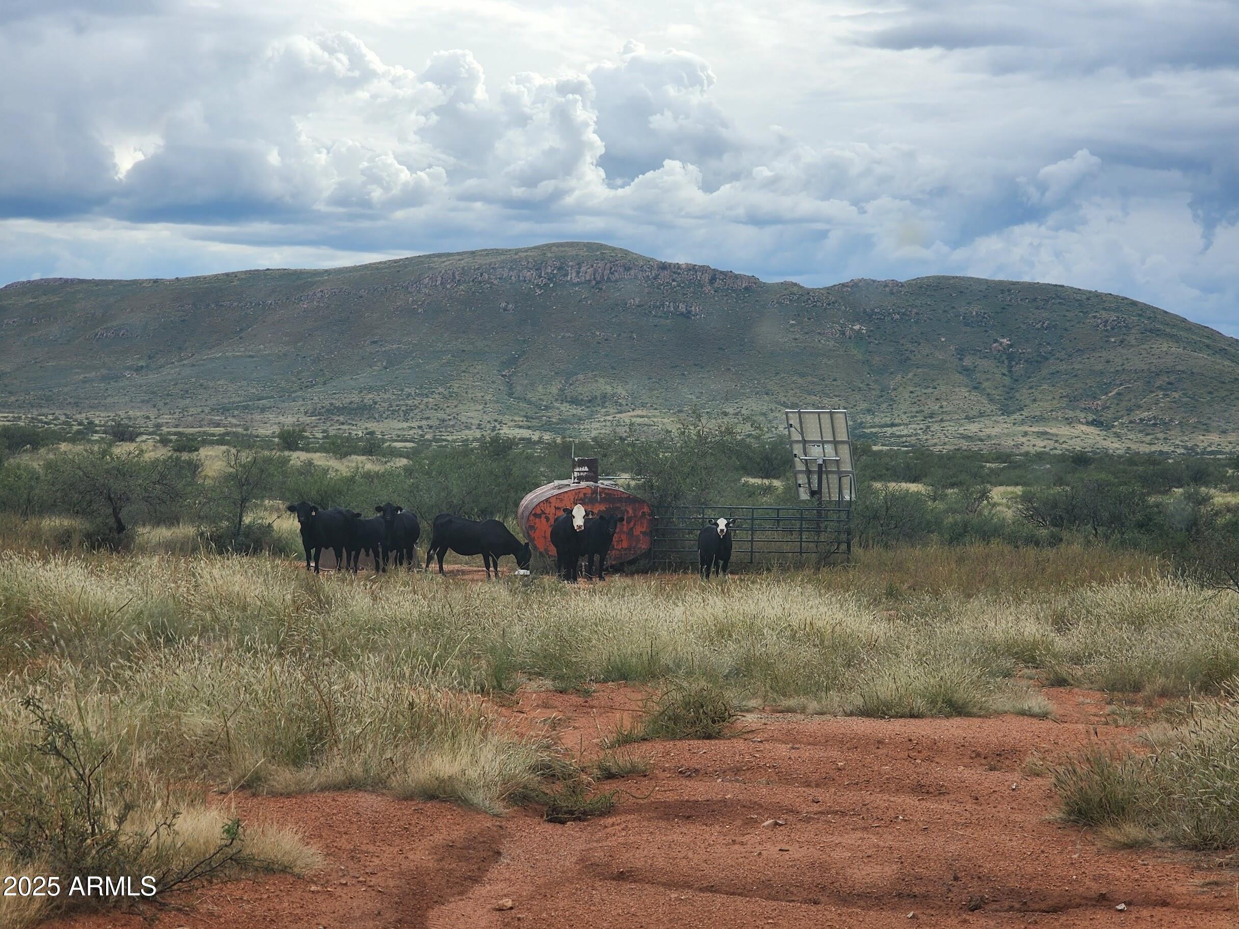 10632 North Double U Ranch Road Elfrida, AZ 85610 - Photo 11 of 42 DUll