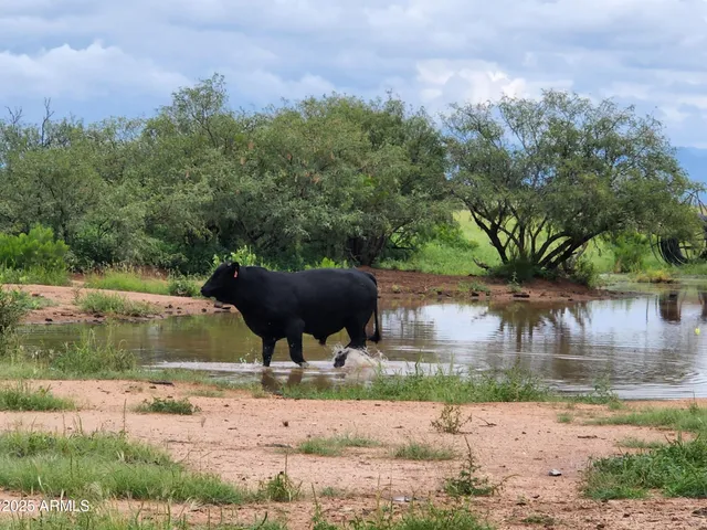 $7,500,000 | 10632 North Double U Ranch Road, Elfrida, AZ 85610