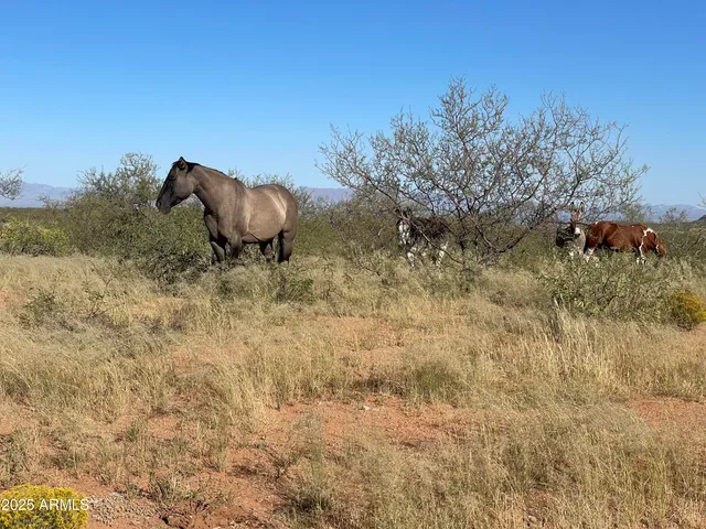 $7,500,000 | 10632 North Double U Ranch Road, Elfrida, AZ 85610
