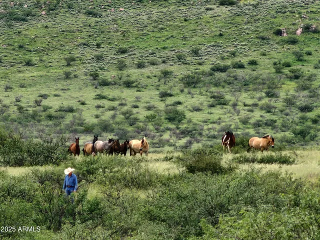 $7,500,000 | 10632 North Double U Ranch Road, Elfrida, AZ 85610