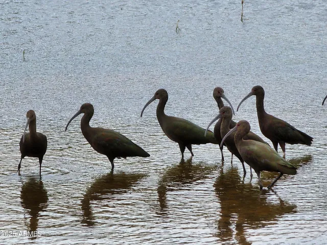 $7,500,000 | 10632 North Double U Ranch Road, Elfrida, AZ 85610