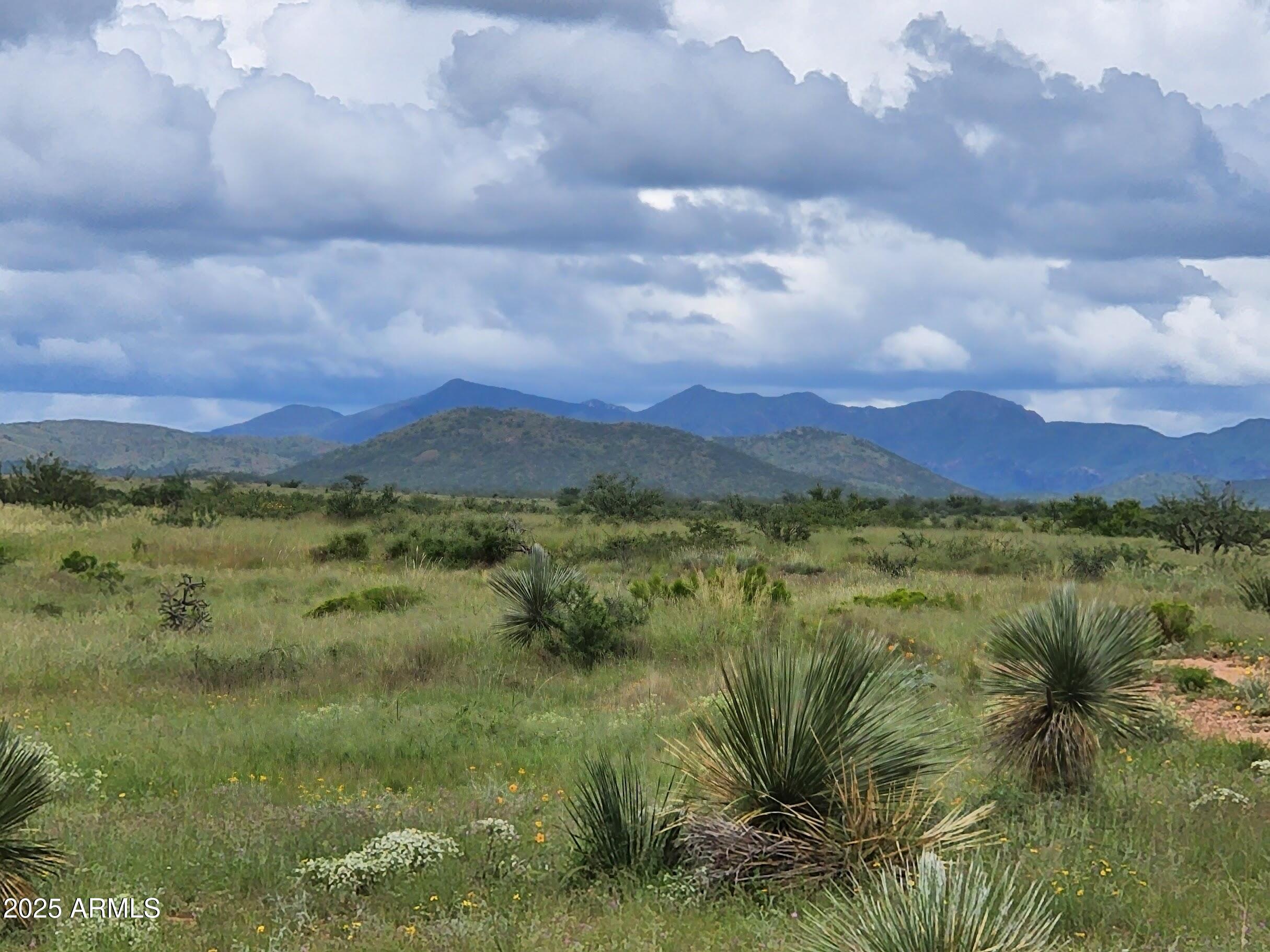 10632 North Double U Ranch Road Elfrida, AZ 85610 - Photo 2 of 42 DUz