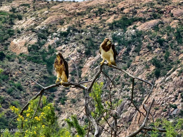 $7,500,000 | 10632 North Double U Ranch Road, Elfrida, AZ 85610