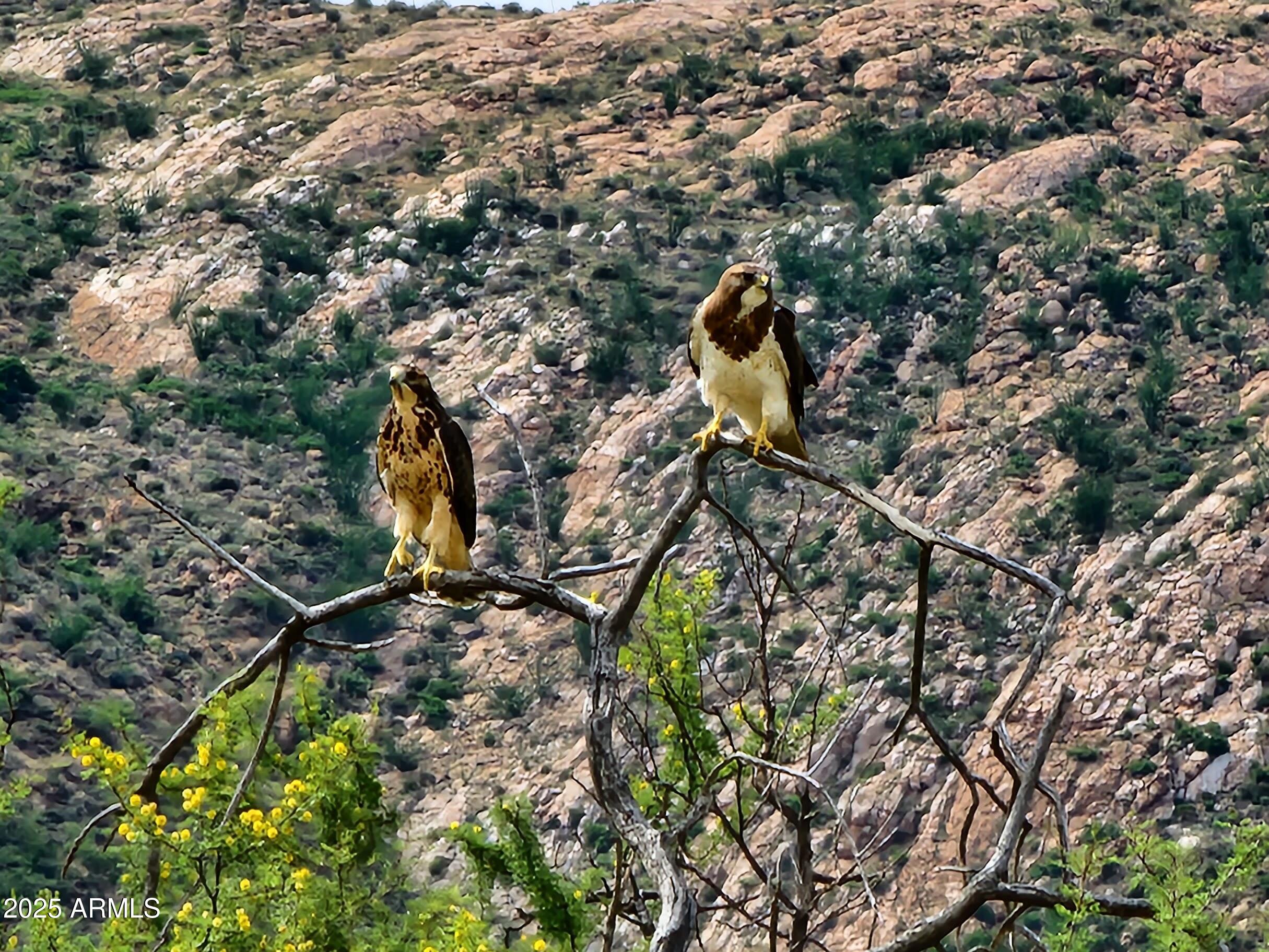 10632 North Double U Ranch Road Elfrida, AZ 85610 - Photo 21 of 42 DUs