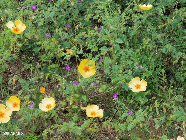 $7,500,000 | 10632 North Double U Ranch Road, Elfrida, AZ 85610