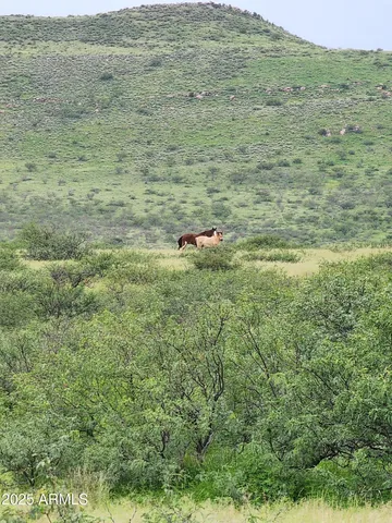 $7,500,000 | 10632 North Double U Ranch Road, Elfrida, AZ 85610