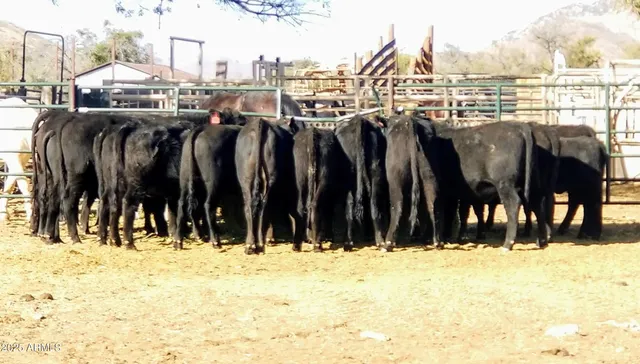 $7,500,000 | 10632 North Double U Ranch Road, Elfrida, AZ 85610