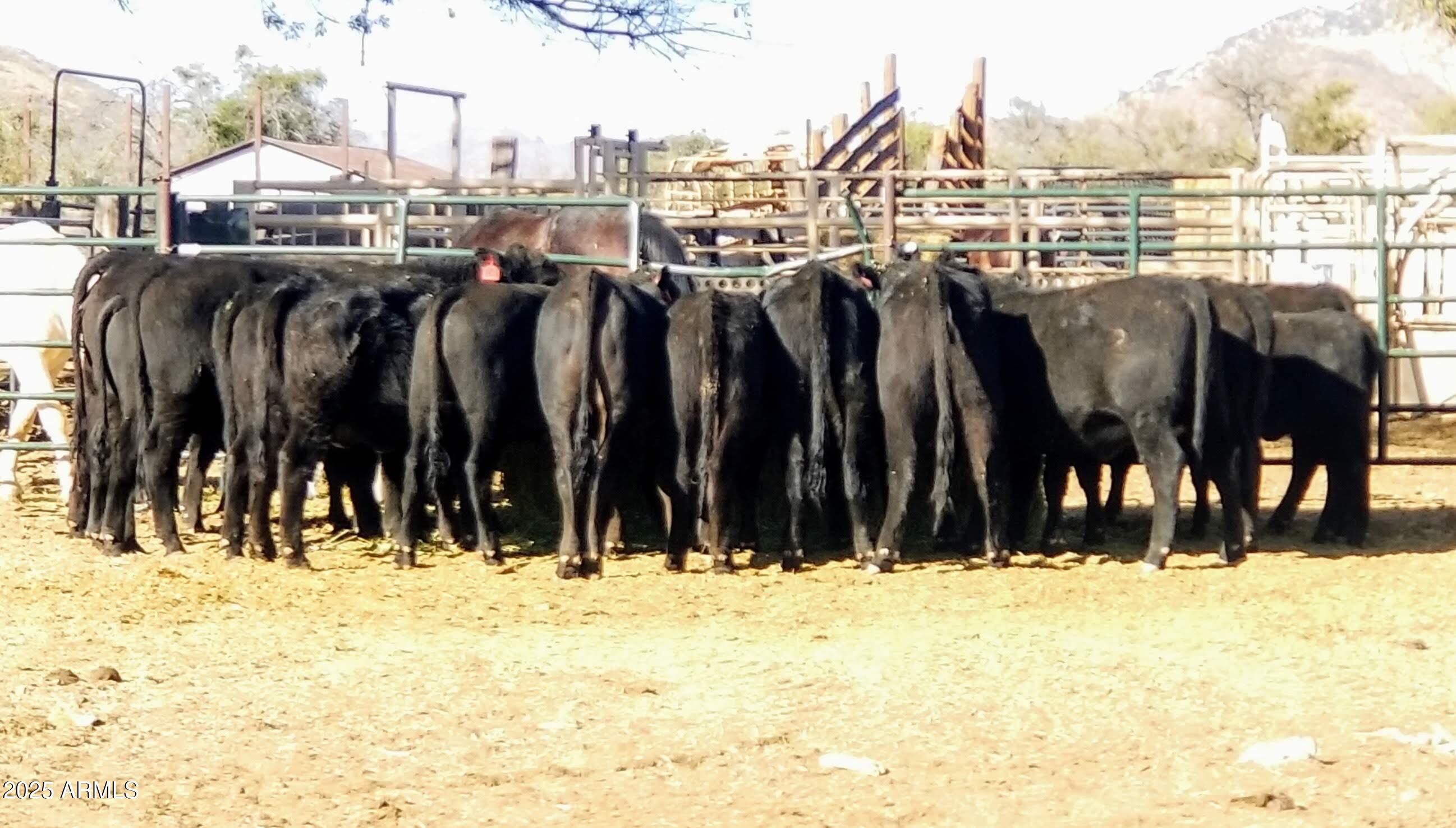 10632 North Double U Ranch Road Elfrida, AZ 85610 - Photo 25 of 42 DUr