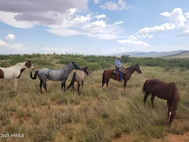 $7,500,000 | 10632 North Double U Ranch Road, Elfrida, AZ 85610