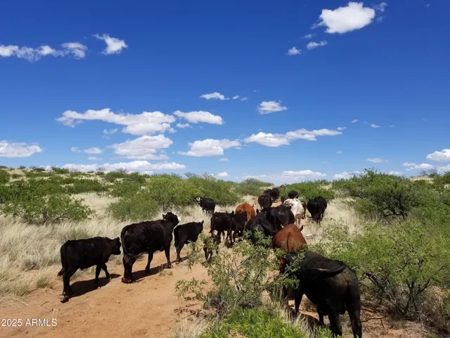 $7,500,000 | 10632 North Double U Ranch Road, Elfrida, AZ 85610