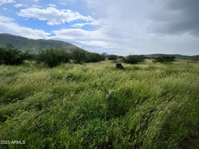 $7,500,000 | 10632 North Double U Ranch Road, Elfrida, AZ 85610