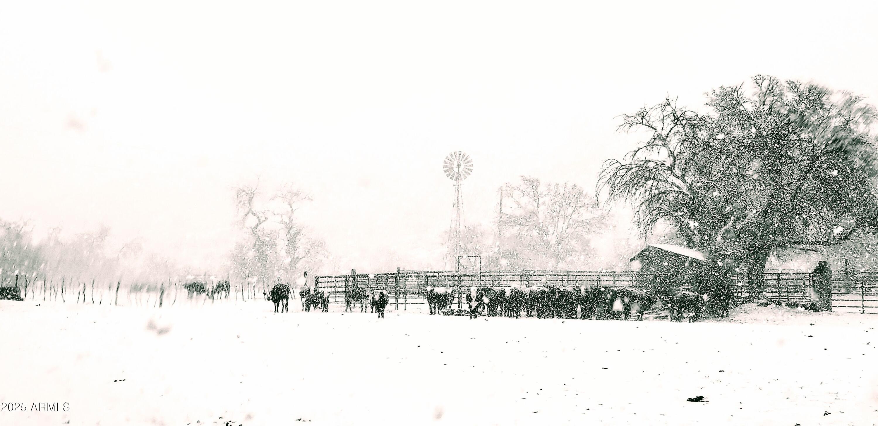 10632 North Double U Ranch Road Elfrida, AZ 85610 - Photo 31 of 42 DUd snow