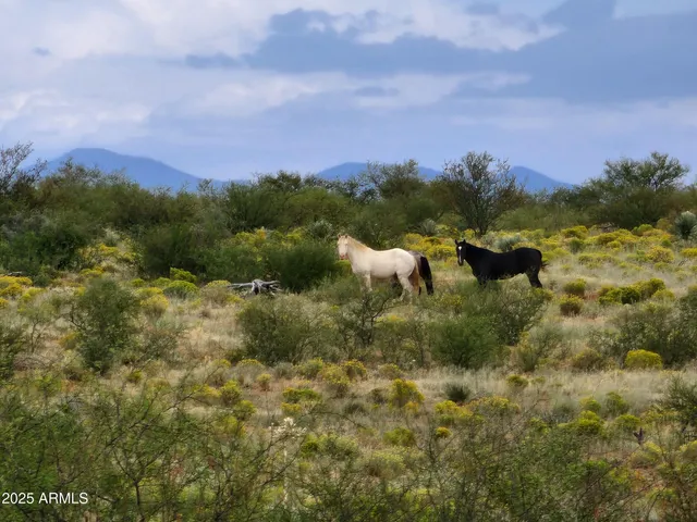 $7,500,000 | 10632 North Double U Ranch Road, Elfrida, AZ 85610