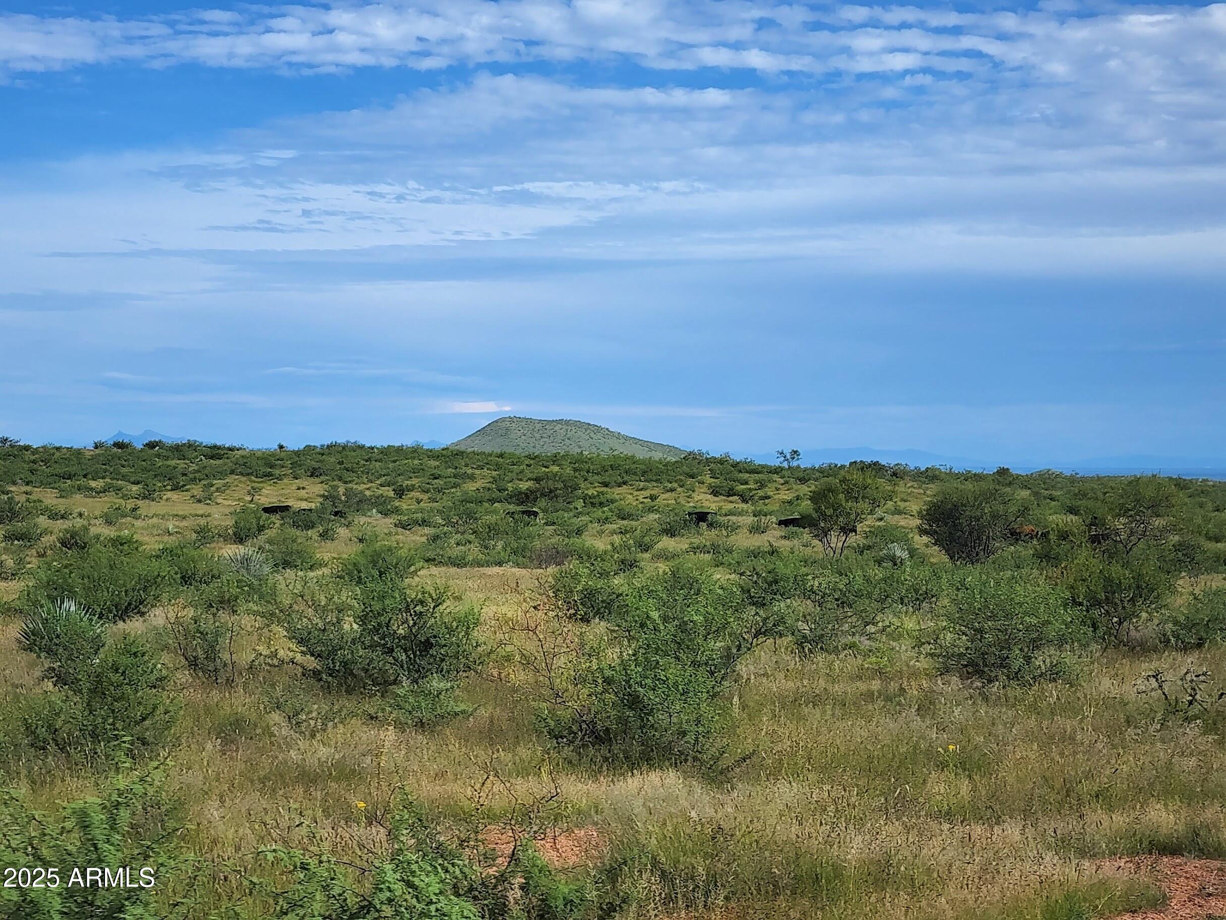 10632 North Double U Ranch Road Elfrida, AZ 85610 - Photo 37 of 42 DUkk
