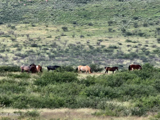 $7,500,000 | 10632 North Double U Ranch Road, Elfrida, AZ 85610