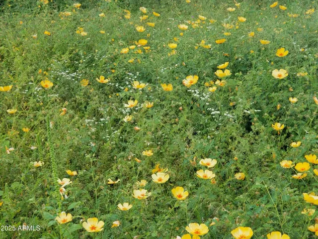 $7,500,000 | 10632 North Double U Ranch Road, Elfrida, AZ 85610