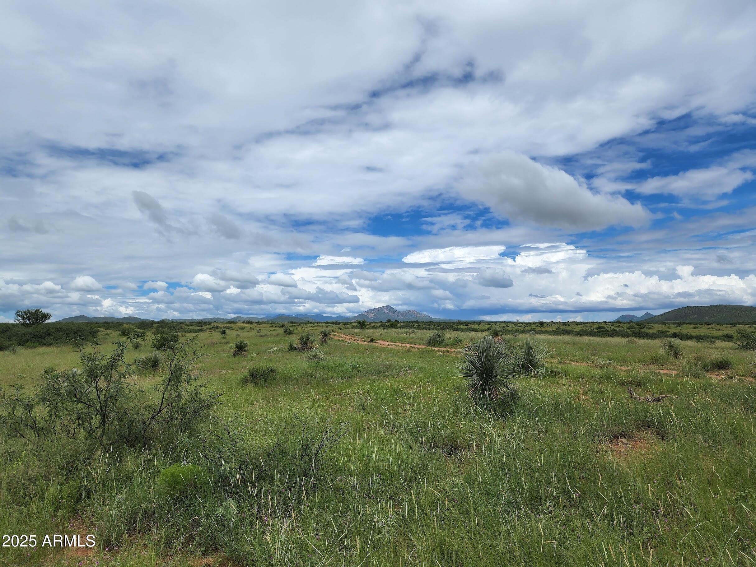10632 North Double U Ranch Road Elfrida, AZ 85610 - Photo 5 of 42 DUy