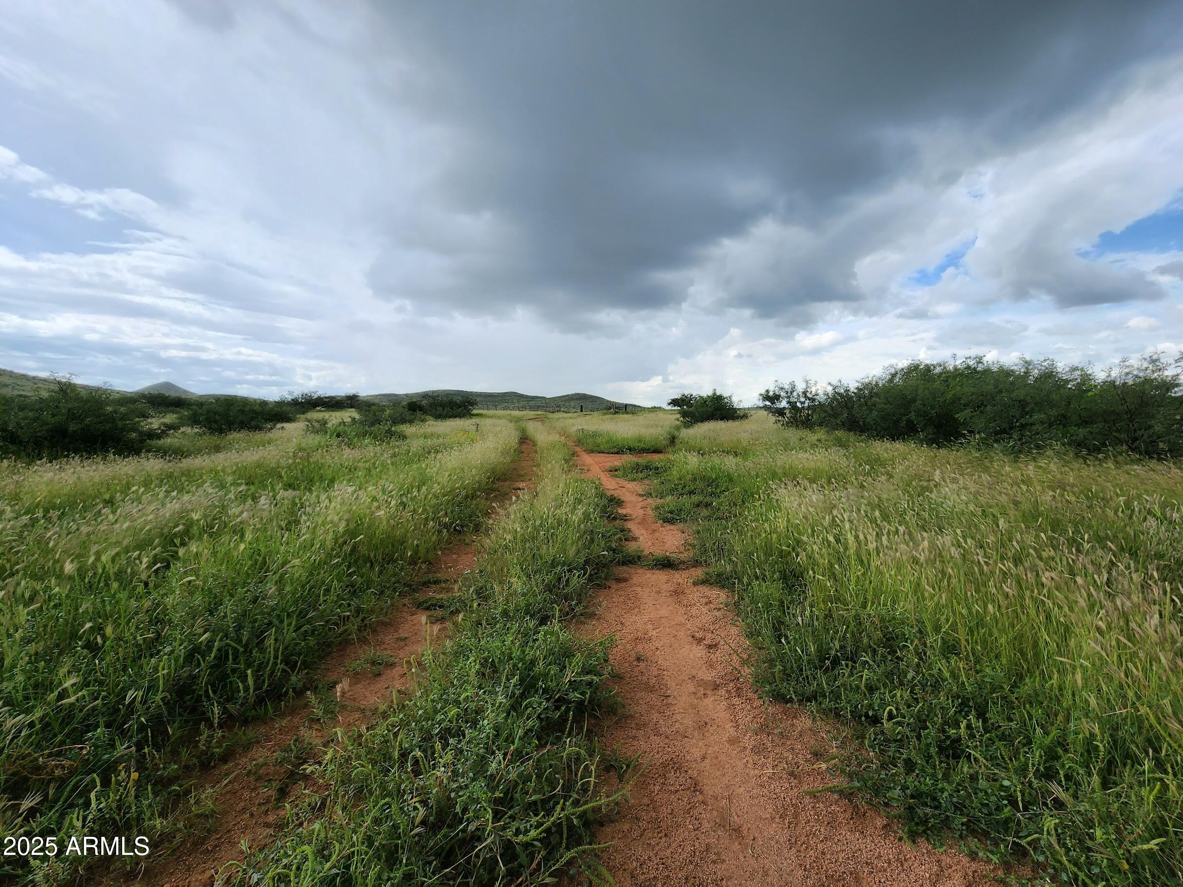 10632 North Double U Ranch Road Elfrida, AZ 85610 - Photo 7 of 42 DUgg