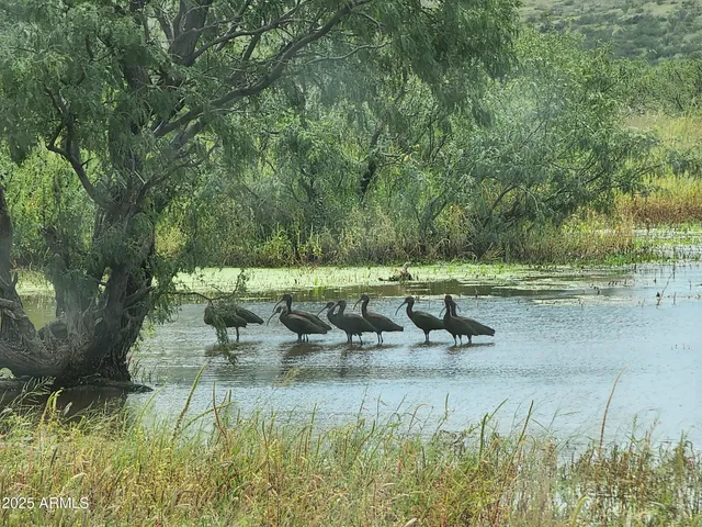 $7,500,000 | 10632 North Double U Ranch Road, Elfrida, AZ 85610