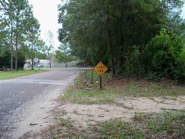 136 Northeast Jay Street Madison, FL 32340 - Photo 2 of 10