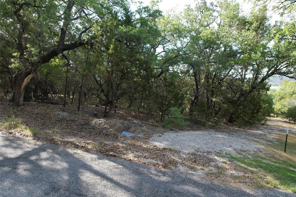 2217 Trl Rdg Road Graford, TX 76449 - Photo 4 of 9 a view of a forest with trees in the background