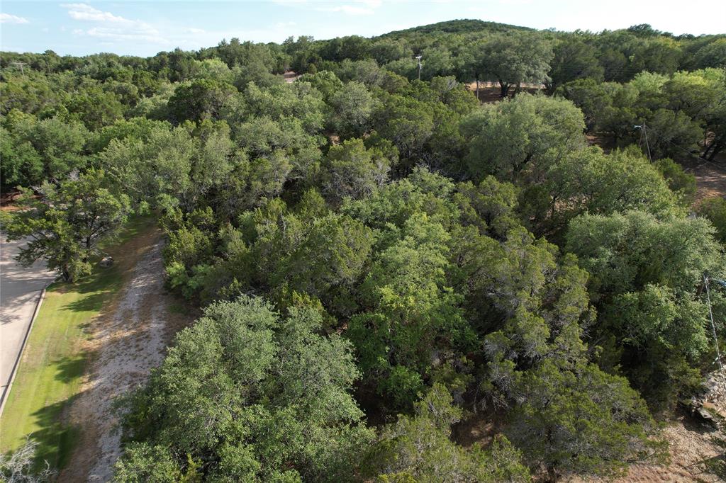 2217 Trl Rdg Road Graford, TX 76449 - Photo 7 of 9 an aerial view of a forest with houses