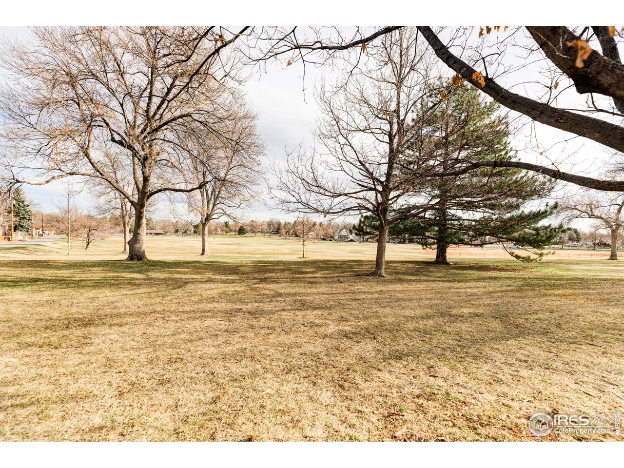 635 Alpine Avenue Boulder, CO 80304 - Photo 21 of 22 a view of yard with trees