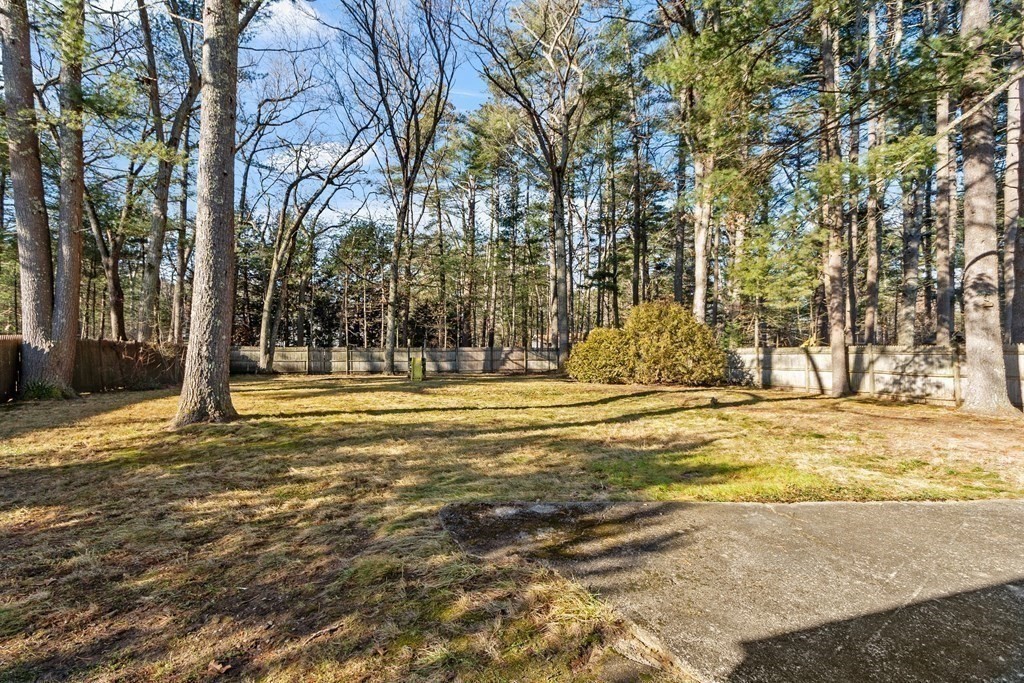 67 Pine Street Sudbury, MA 01776 - Photo 33 of 41