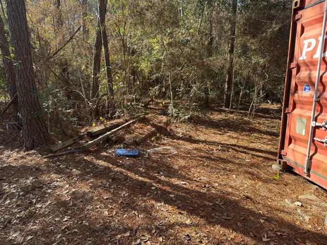 a view of a yard with plants and trees