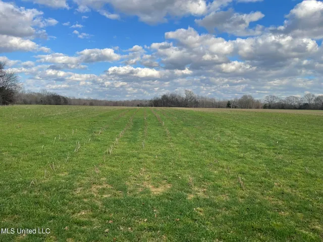 $860,000 | Stout Road Road, Canton, MS 39046