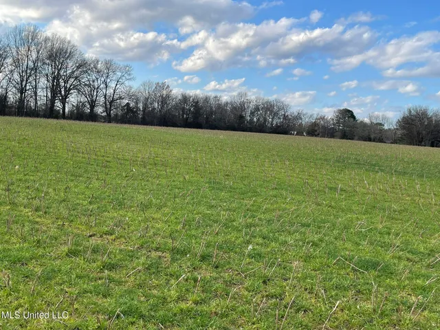 $860,000 | Stout Road Road, Canton, MS 39046