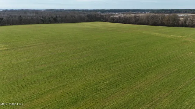 $860,000 | Stout Road Road, Canton, MS 39046