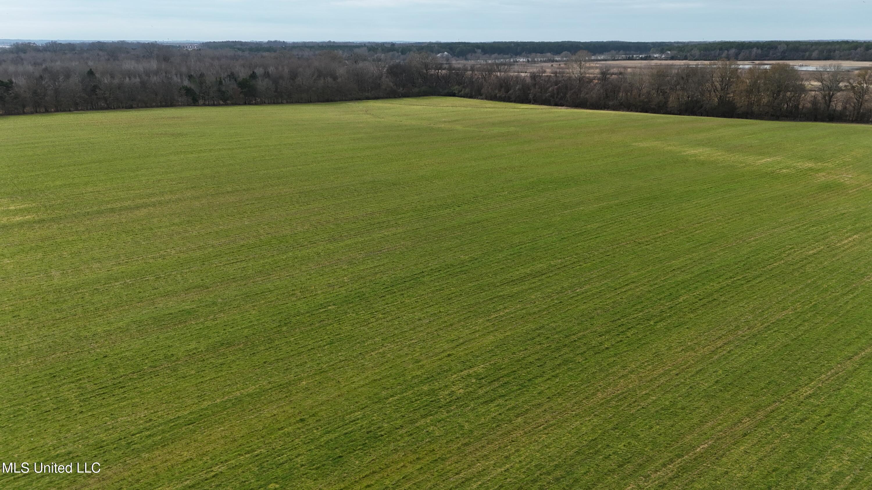 dji_fly_20250129_120846_0393_17381737756