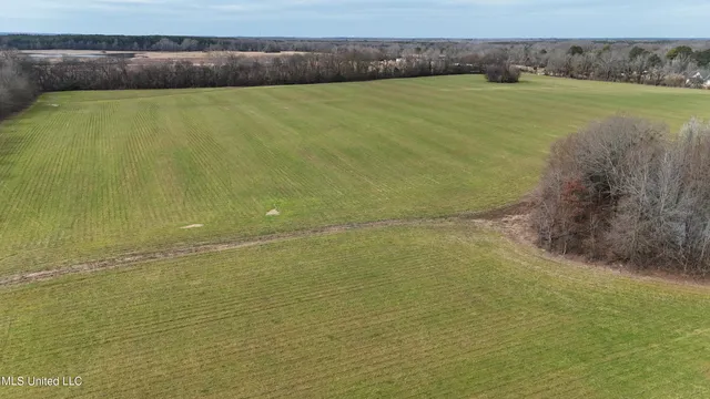 $860,000 | Stout Road Road, Canton, MS 39046