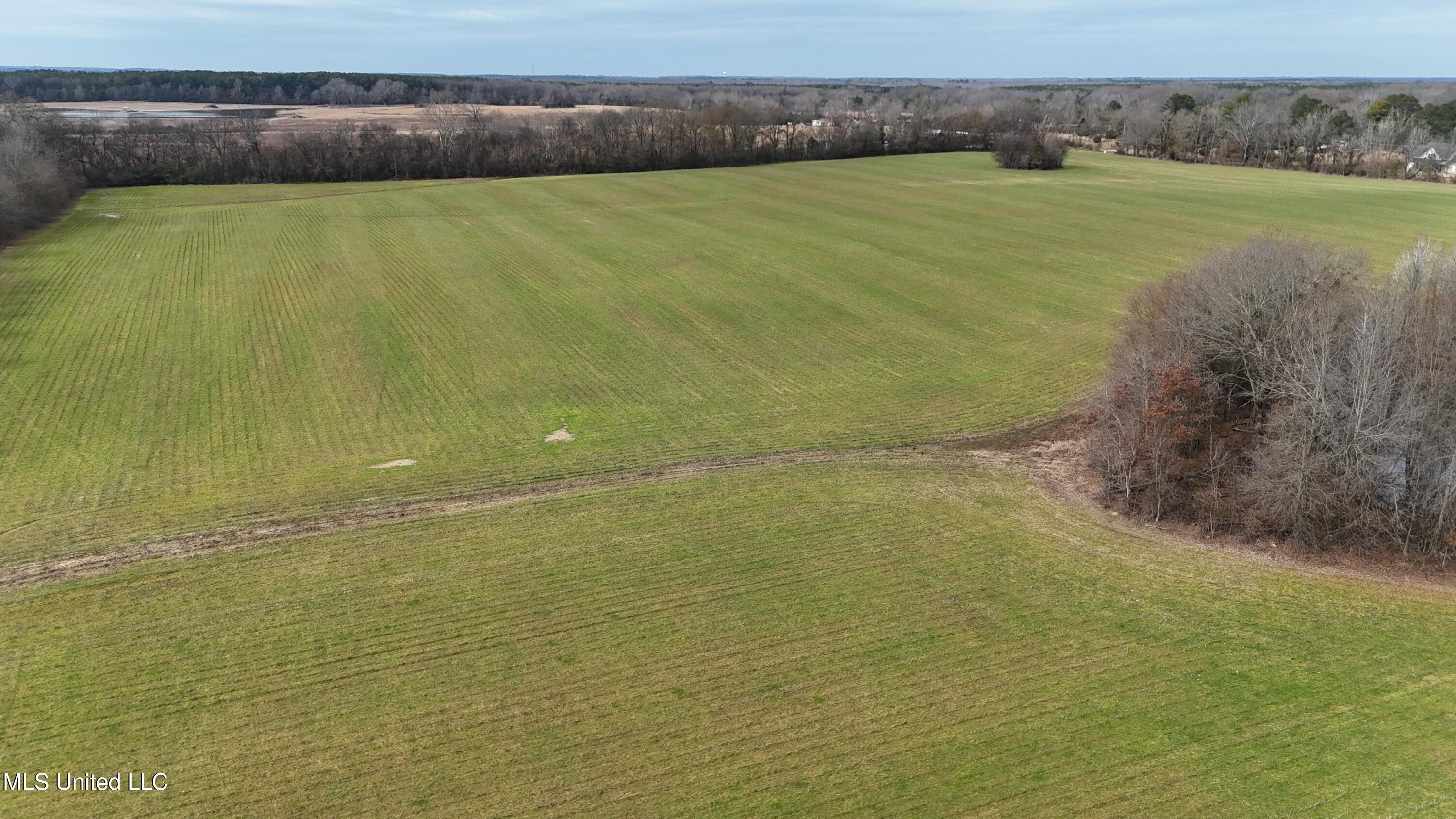 dji_fly_20250129_120930_0394_17381737778