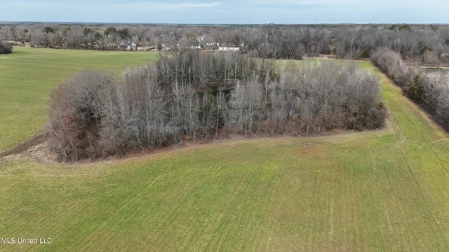 $860,000 | Stout Road Road, Canton, MS 39046