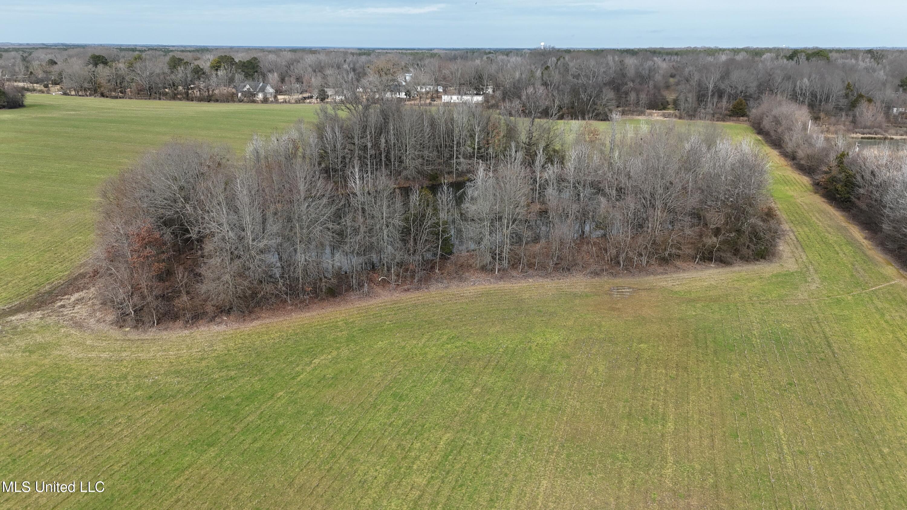 dji_fly_20250129_120936_0395_17381737798