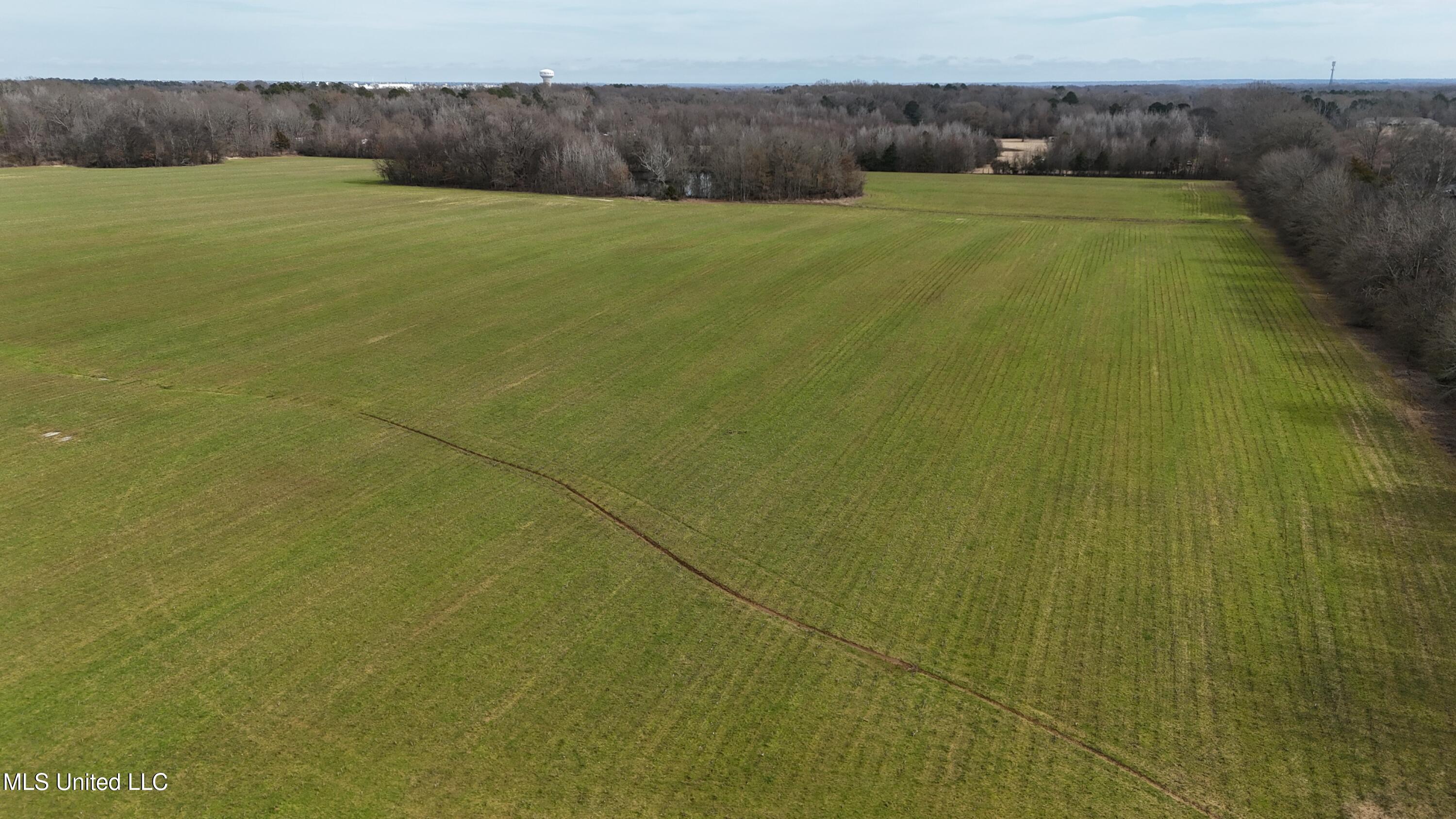 dji_fly_20250129_121014_0396_17381737812