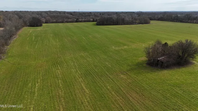 $860,000 | Stout Road Road, Canton, MS 39046