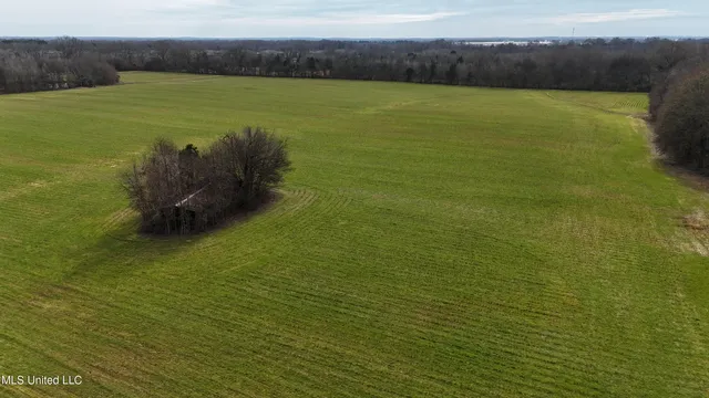$860,000 | Stout Road Road, Canton, MS 39046