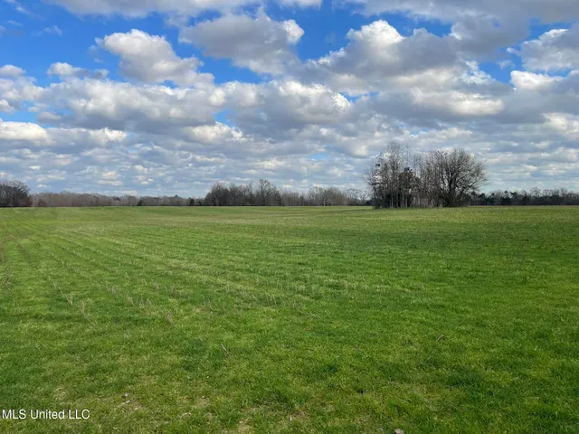 $860,000 | Stout Road Road, Canton, MS 39046