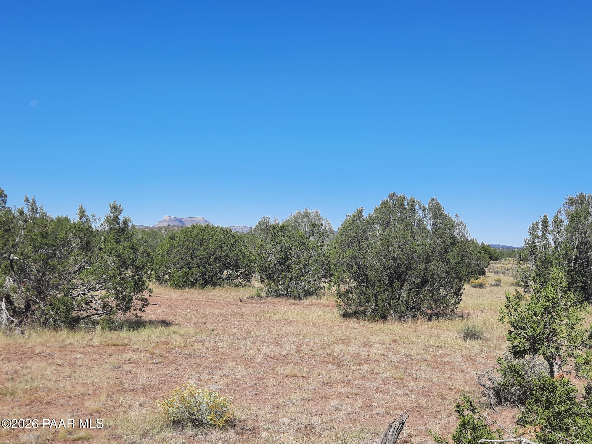 Lot 1371 Last Chance Road Seligman, AZ 86337 - Photo 4 of 20 20261001_111525