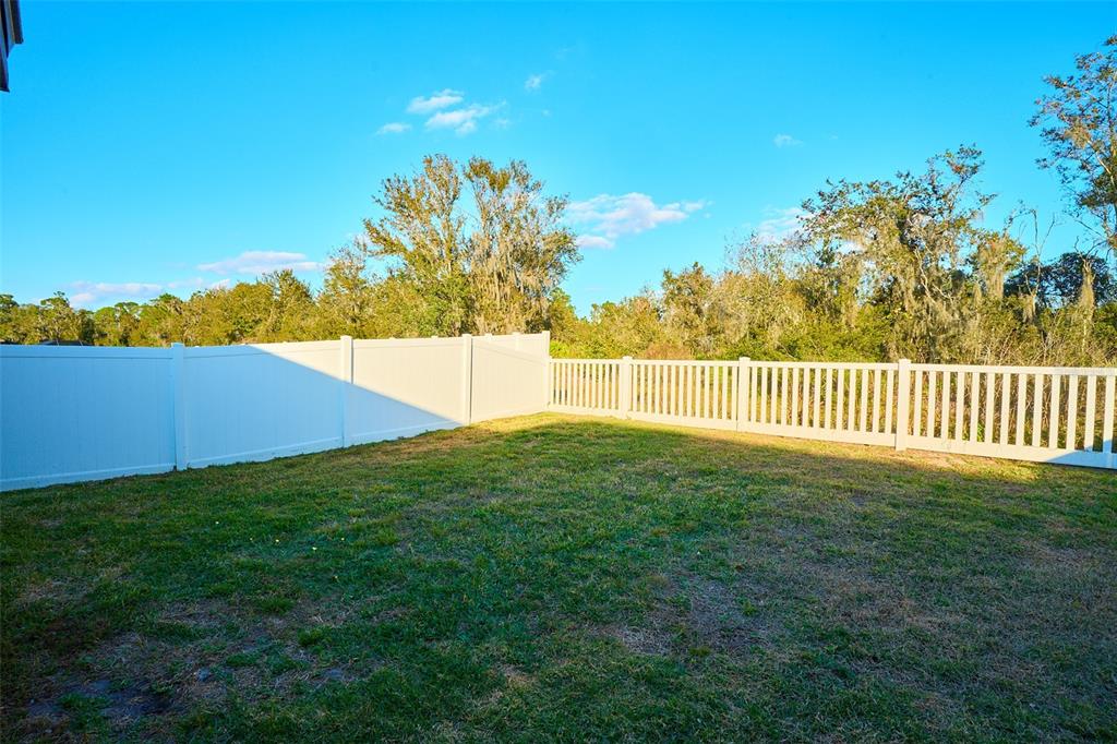 13351 Willow Bluestar Loop Riverview, FL 33579 - Photo 15 of 15 a view of an outdoor space and a yard