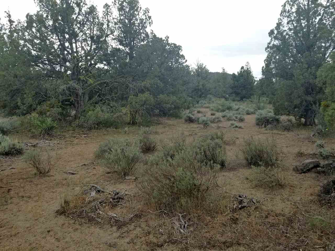 13 Mclarty Road Montague, CA 96064 - Photo 9 of 15 Gallery Image 9