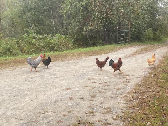 199 Elm Street Mercer, ME 04957 - Photo 17 of 31 IMG_8740